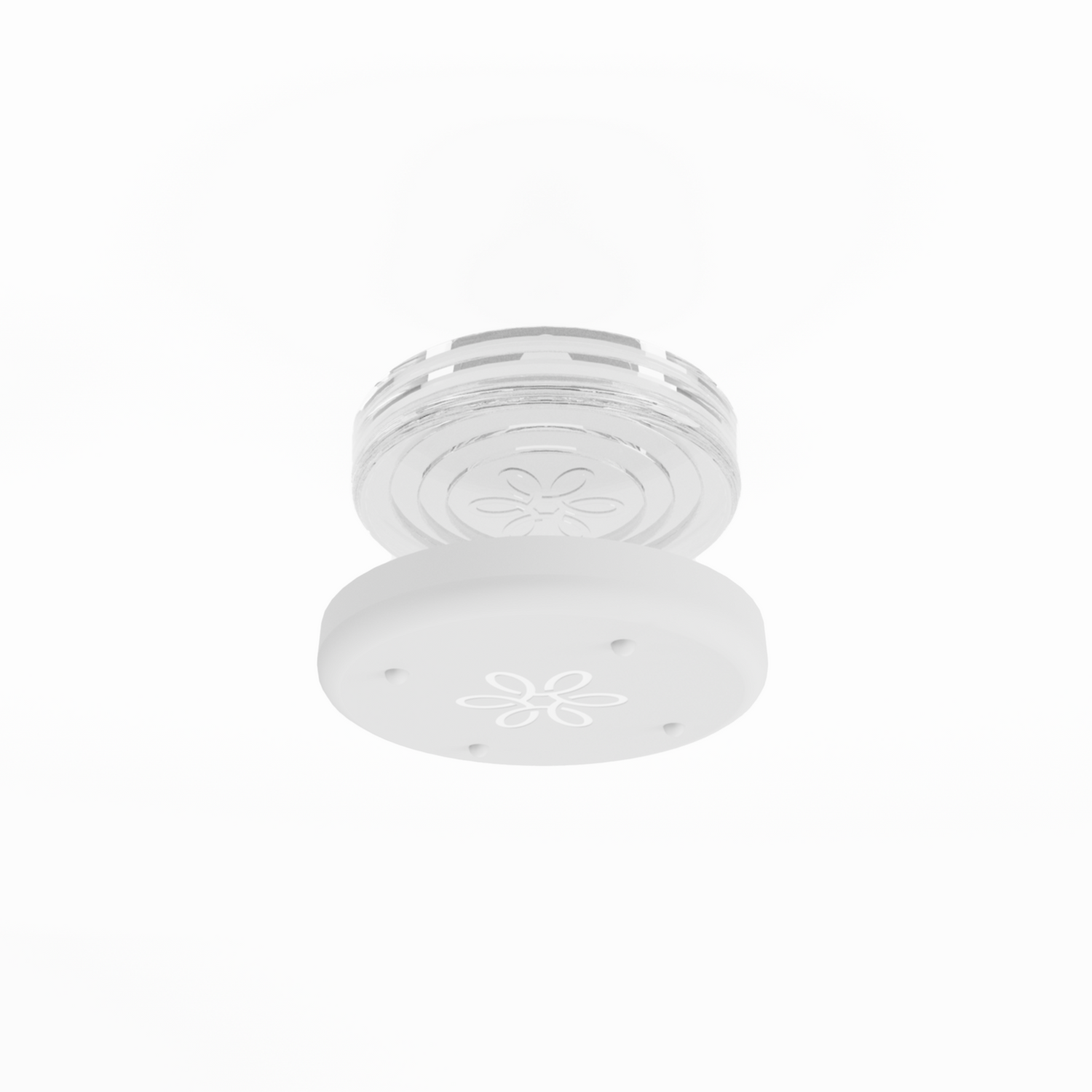 Glass Tray